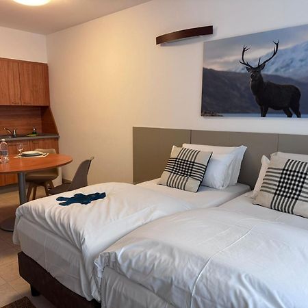 Base Camp Alpine Apartments ブレウイル・チェルヴィナイア 部屋 写真